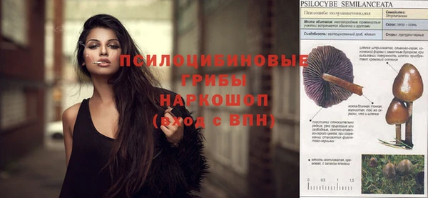 бошки Вязники