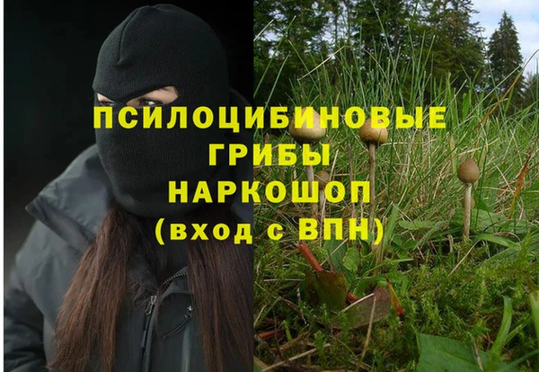 spice Вязьма