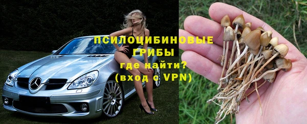 ешки Горняк